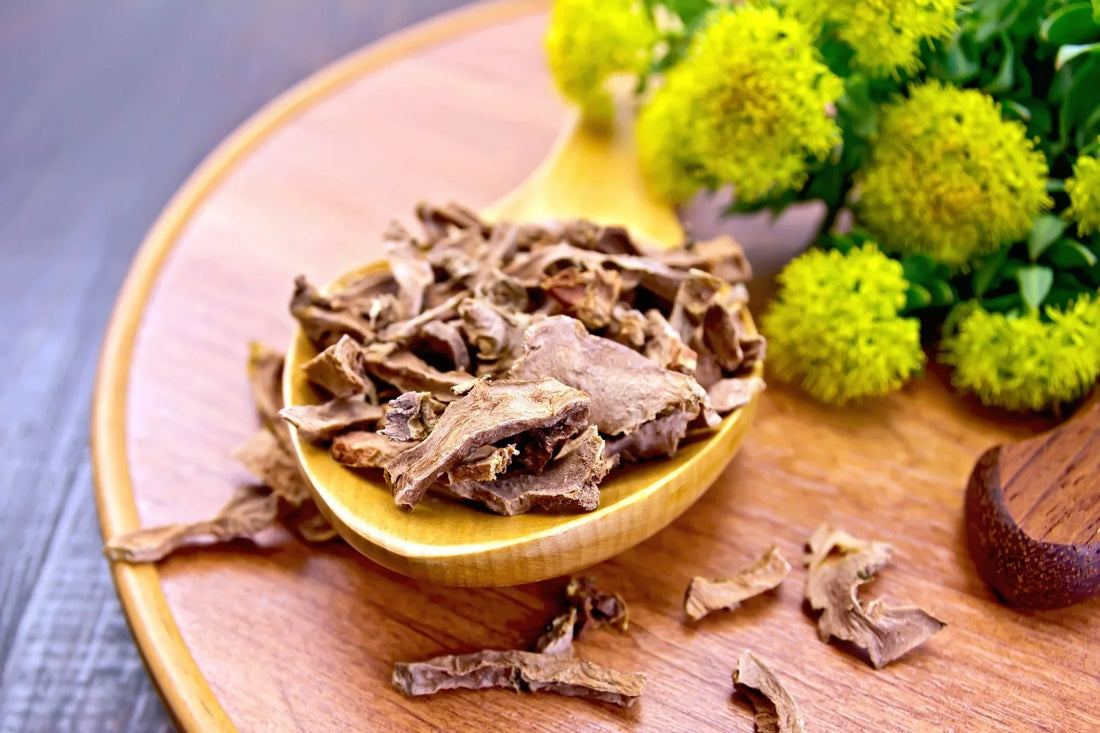 Rhodiola Rosea: Mentale Weerstand, Energie en Trainingsprestaties
